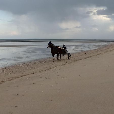Gites "Plage" Ou "Pieds Dans L'Eau" En Front De Mer A Asnelles , 3Km D'Arromanches, 10Km De Bayeux Zewnętrze zdjęcie