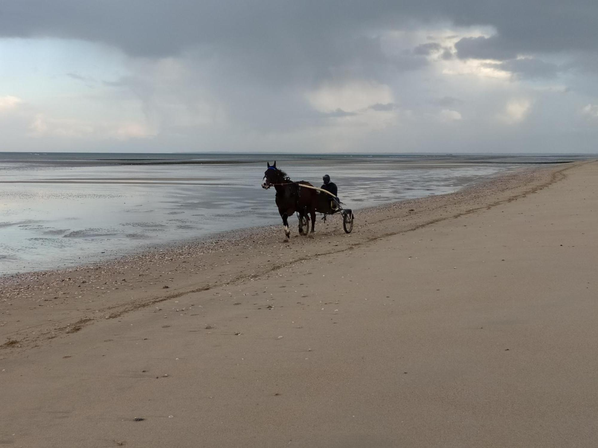 Gites "Plage" Ou "Pieds Dans L'Eau" En Front De Mer A Asnelles , 3Km D'Arromanches, 10Km De Bayeux Zewnętrze zdjęcie